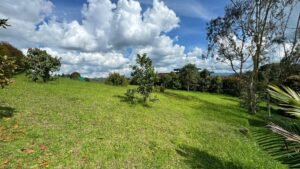 Lotes en Alto de Palmas disponibles para la venta