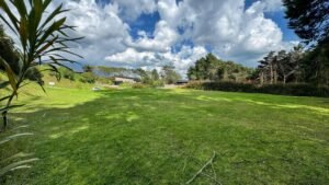 Lotes en Alto de Palmas para inversión en Medellín