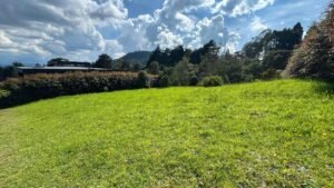 Lotes en Alto de Palmas disponibles para la venta