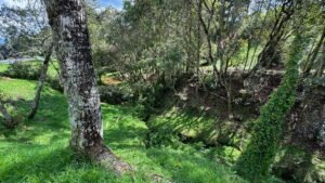 Lotes en Alto de Palmas para inversión en Medellín