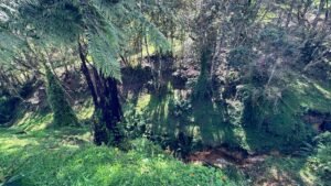 Lotes en Alto de Palmas para inversión en Medellín