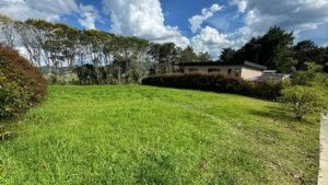 Lotes en Alto de Palmas disponibles para la venta