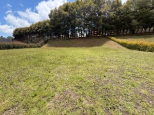 Lote de 1.010 m² con excelente topografía en Montemayor (Charco Azul) – Montemayor (Charco Azul)